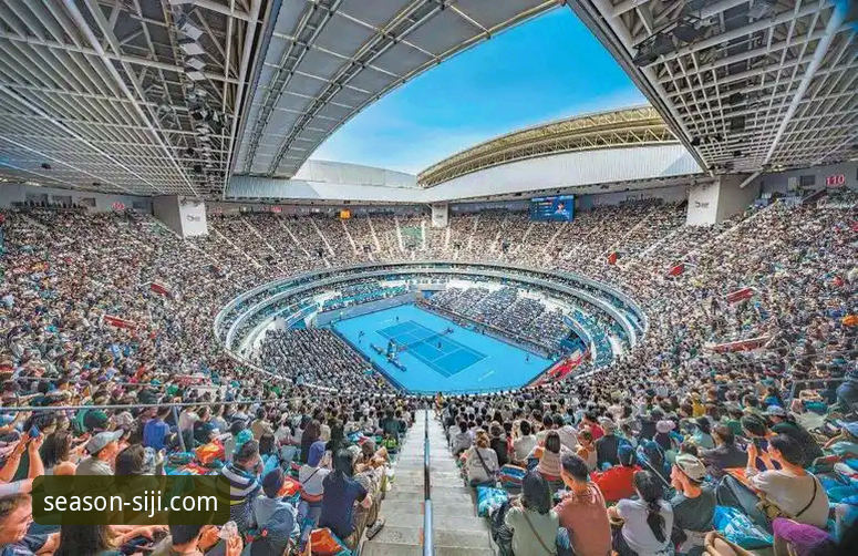 四季体育精彩集锦 vs 传统观赛模式：老用户深度剖析真实体验