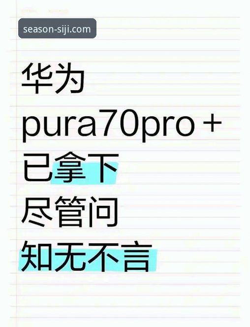 四季网站官方用户评价全面解析：从新手视角看平台真实体验